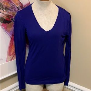 Royal blue/purple VNeck Longsleeve stretch T-shirt